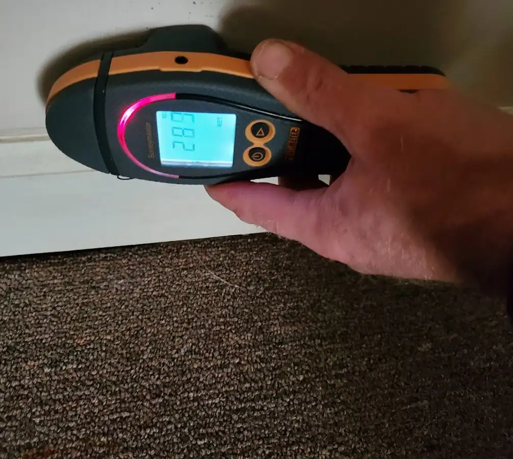Moisture detection at baseboard during Sewage Cleanup & Sanitation in Timberwood Park